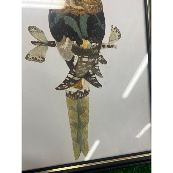 Vtg 70s Authentic Butterfly Wing Art Tropical Bird Parrot - Picture 5 of 6